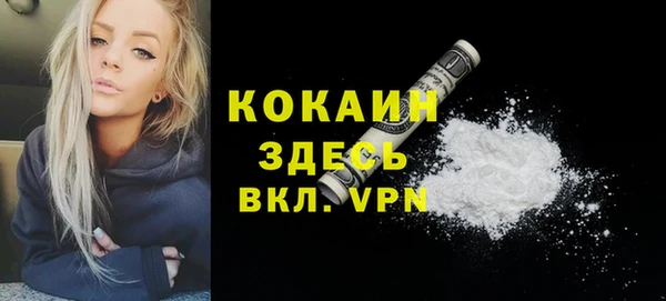 твердый Михайловка