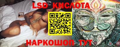 дмт Обь