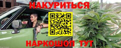 дмт Обь